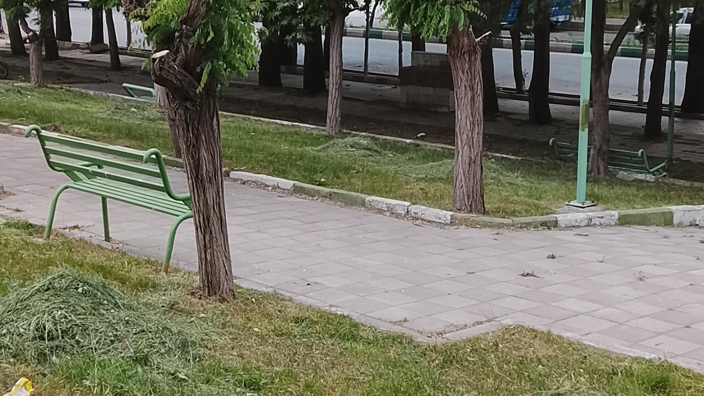 پارک کوێستان