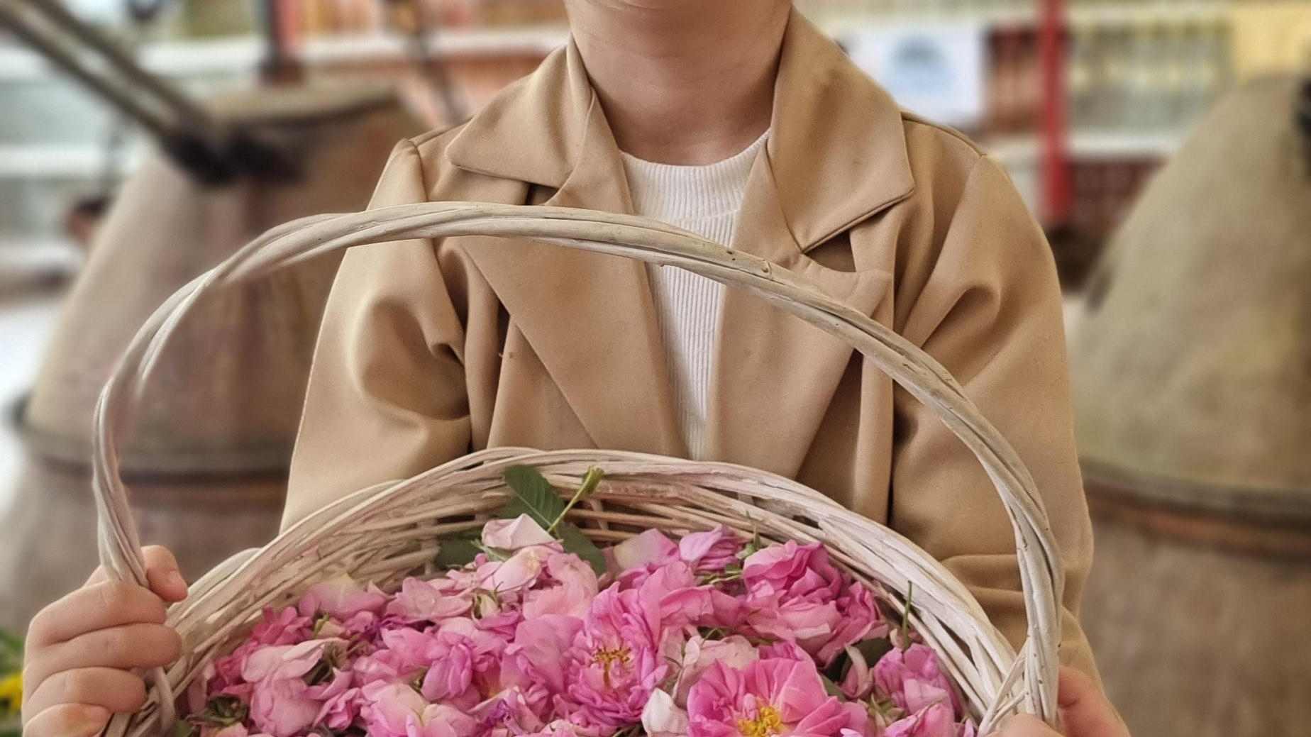 گلاب و عرقیات سیدشجاع سیدی نیاسر