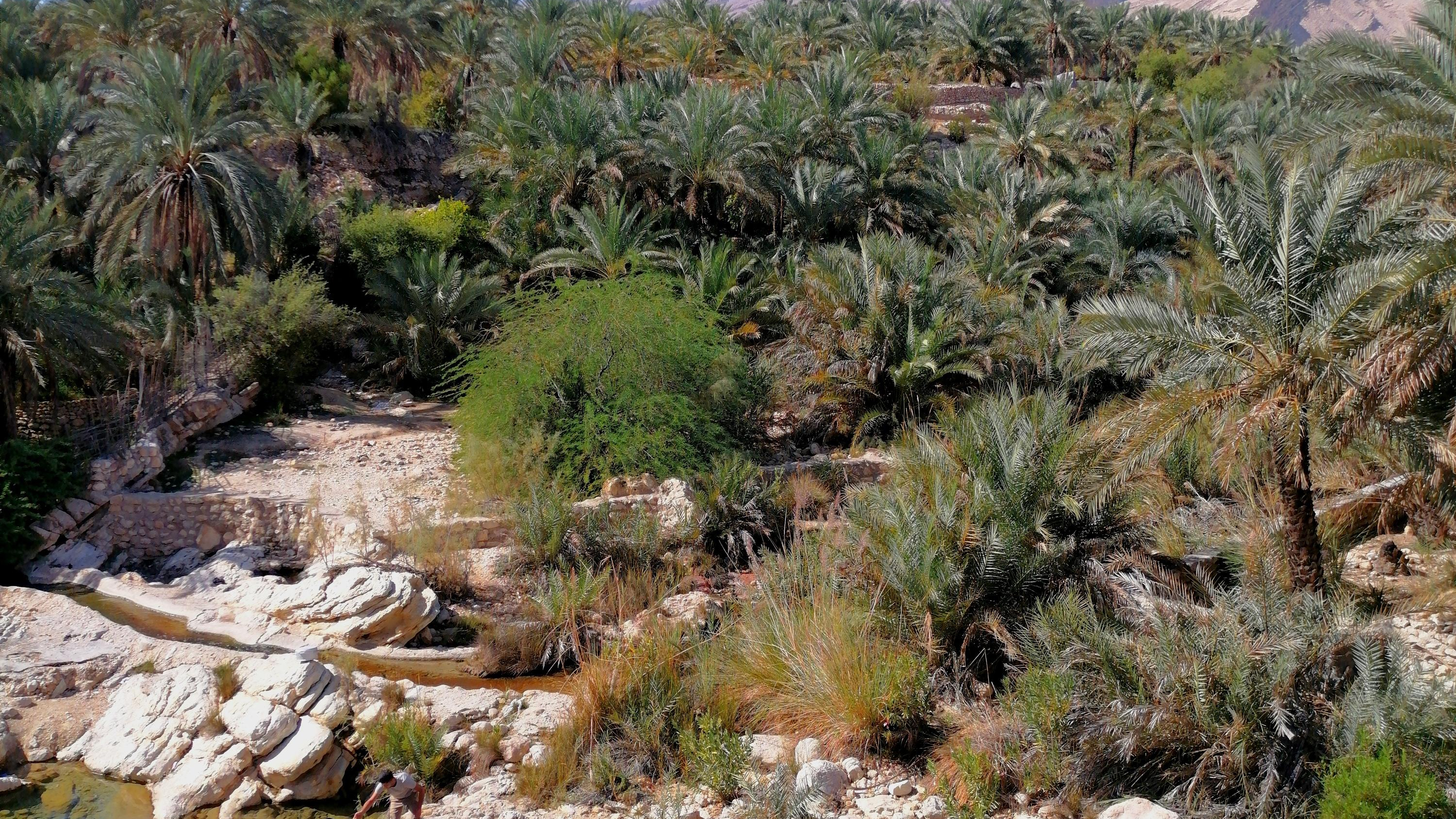 تنگه بناب