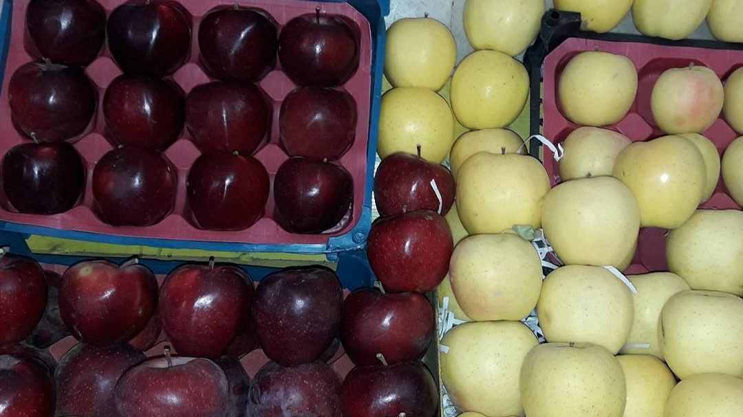 حاجی ارزونی امیر کبیر میوه فروشی نمونه سال
