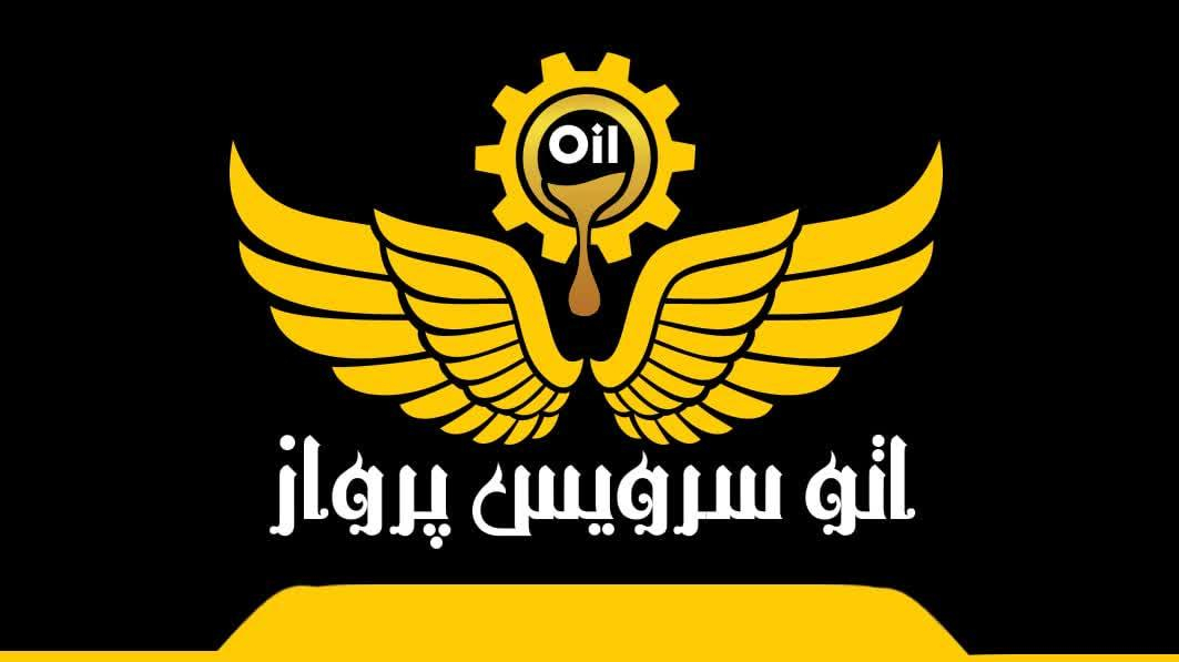اتو سرویس پرواز