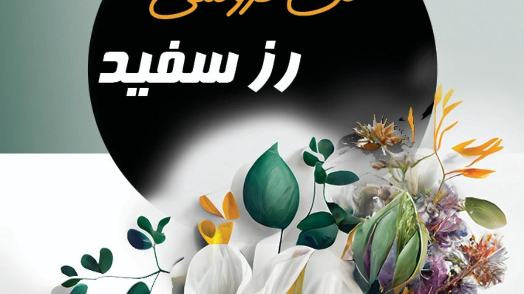 گل رز سفید