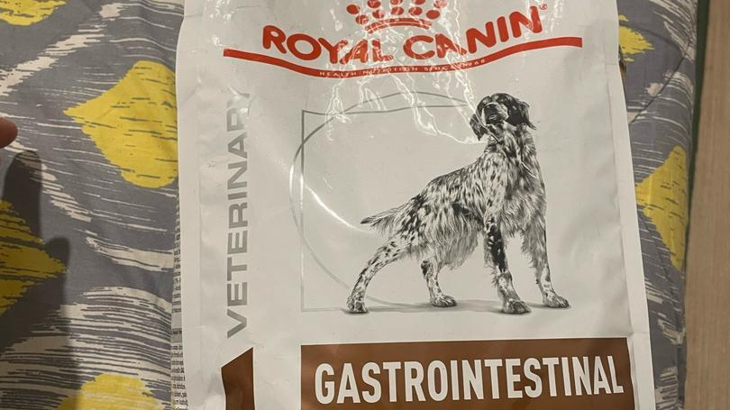 کلینیک دامپزشکی هوم پت