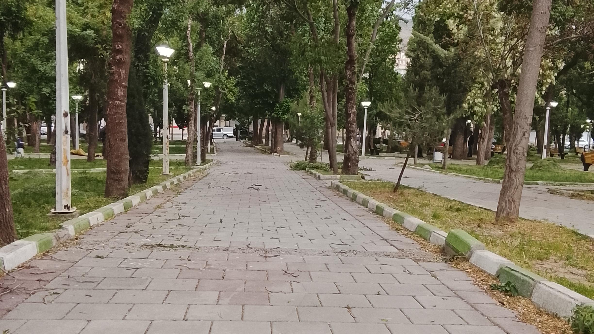 پارک شیخ شلتوت
