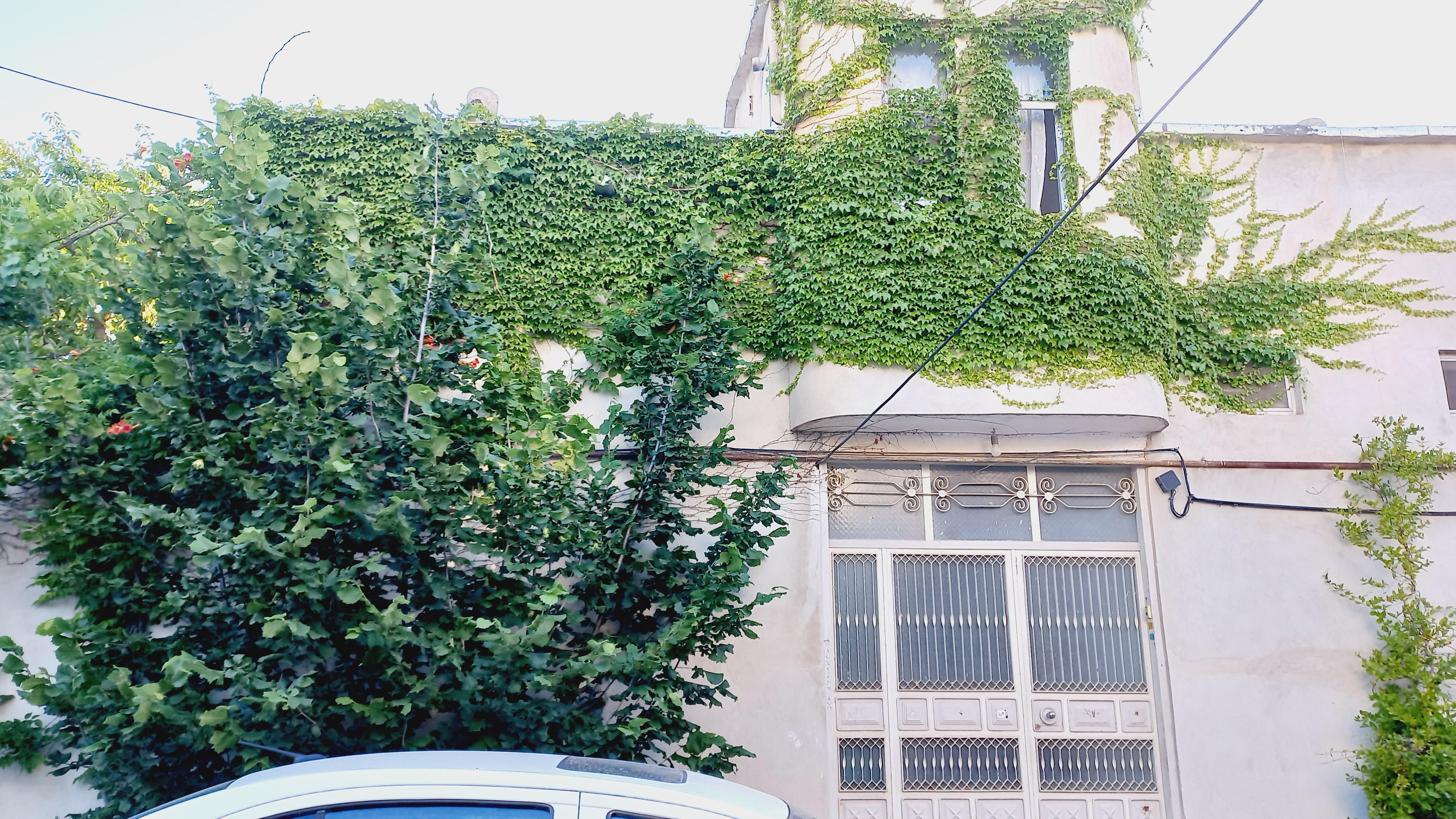 سوئیت ویلای دربستی رسول‌زاده