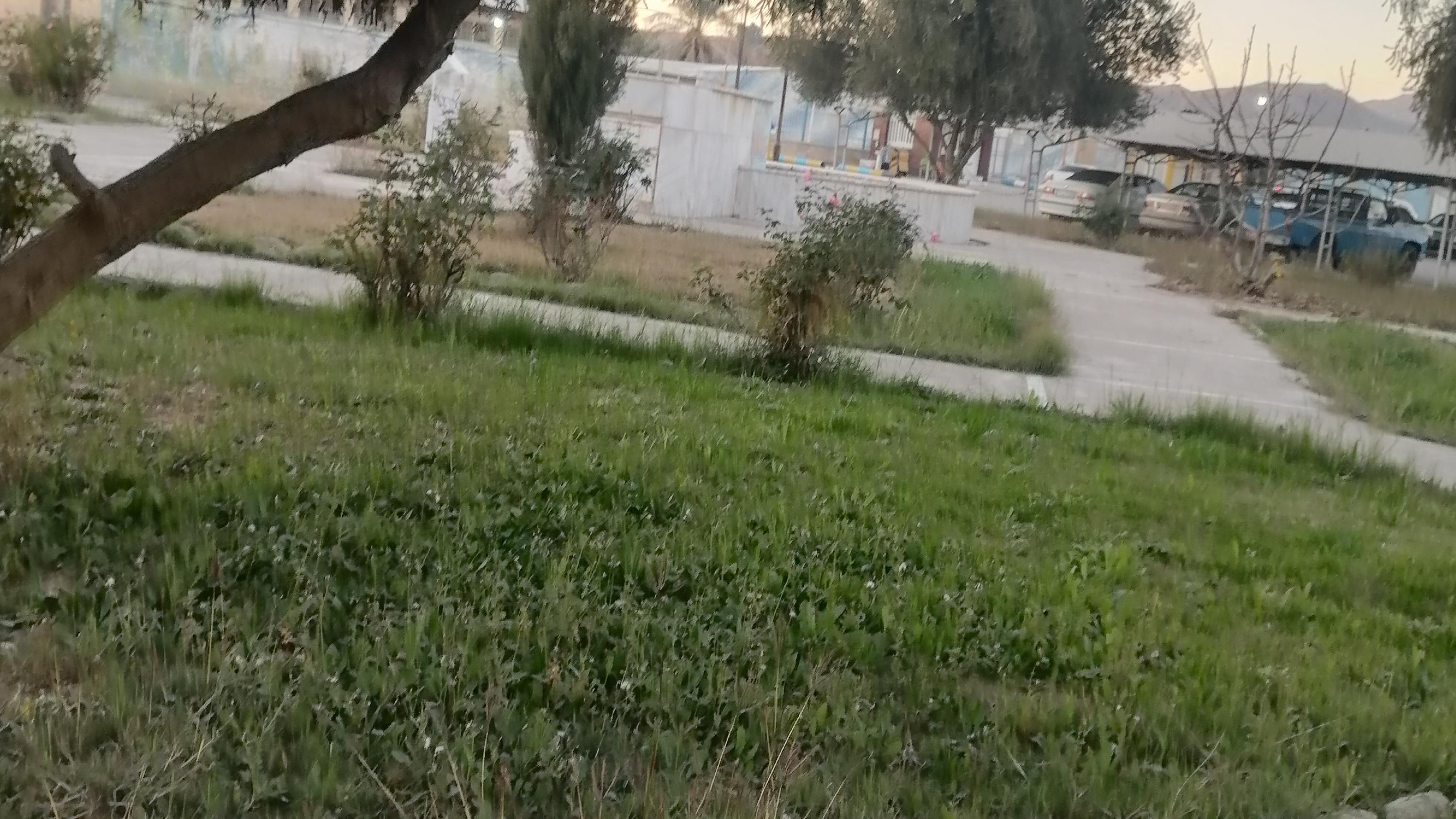 پارک