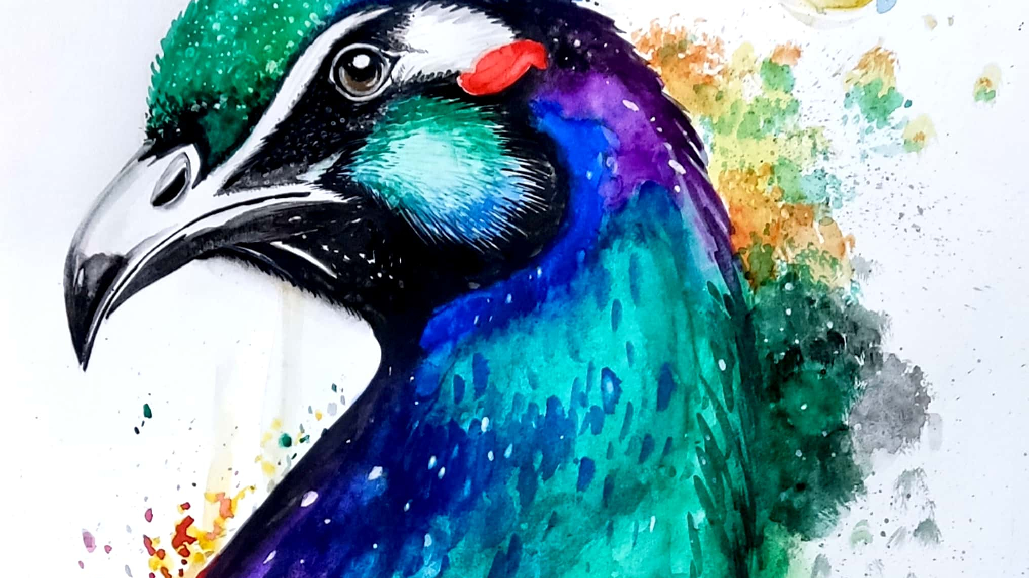 آموزش طراحی و نقاشی شریفی