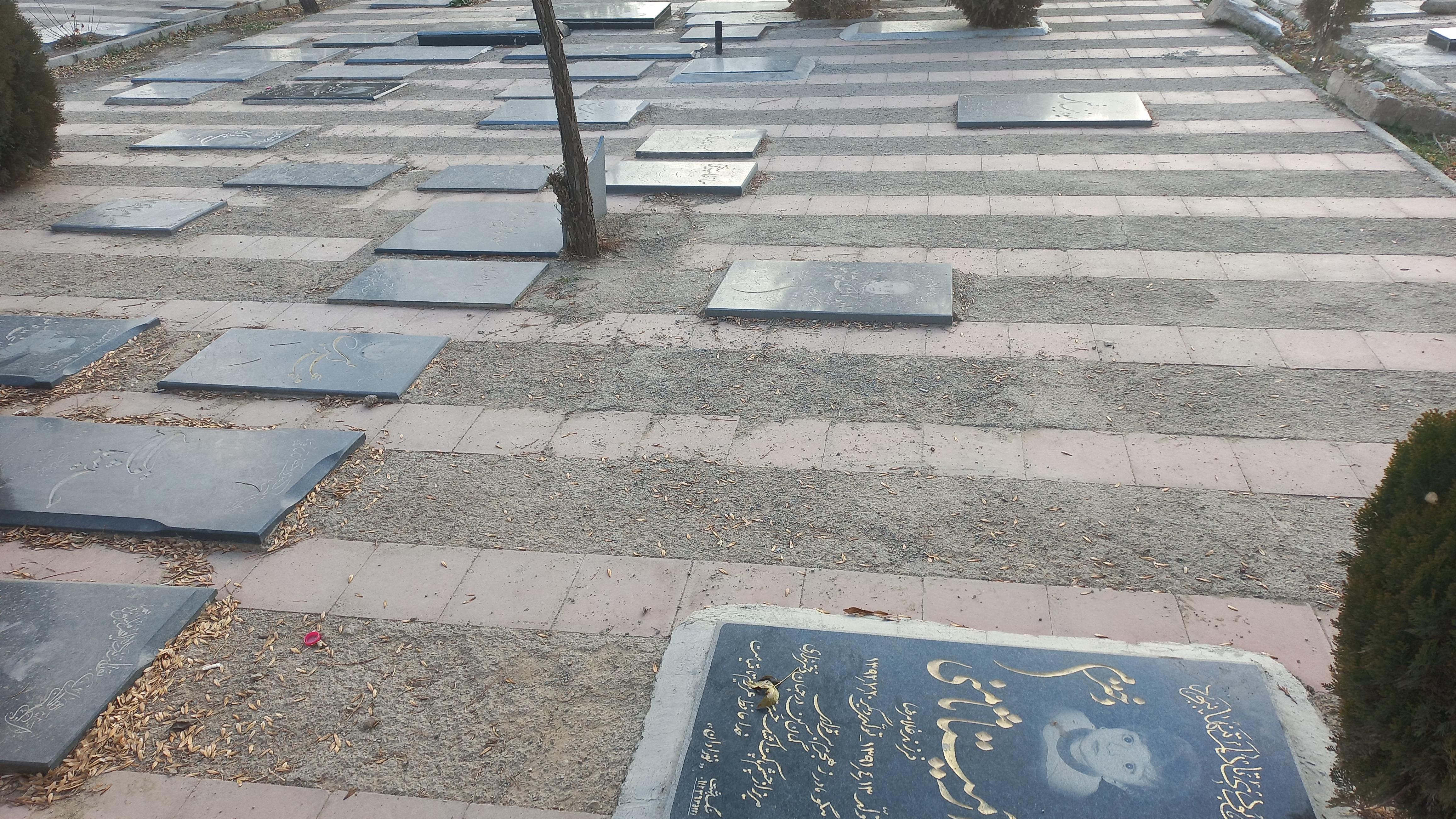قطعه نوزادان ۳۸