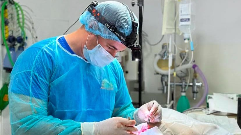 کلینیک دامپزشکی و پت شاپ شهر راز