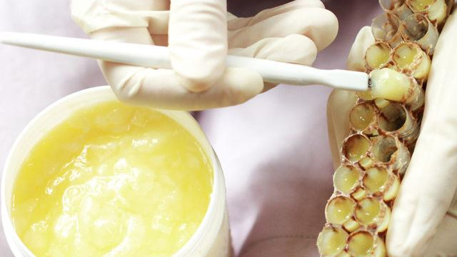 عسل طبیعی درمانی علی‌پور