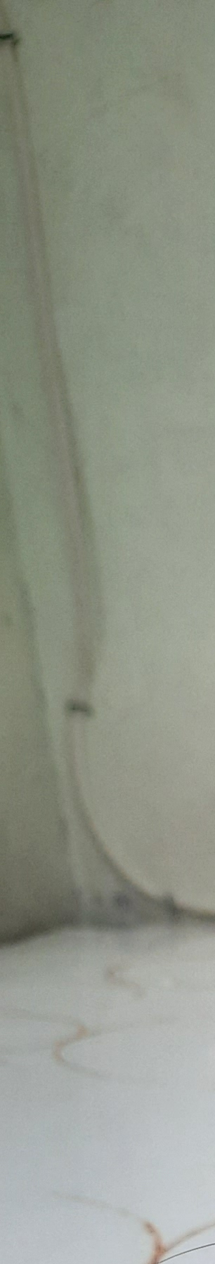 کافه موزه گربه های ایرانی