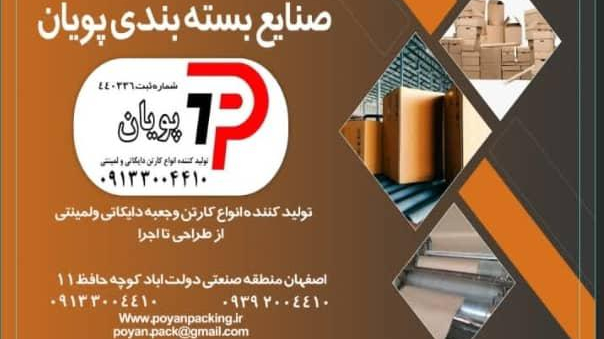 کارتن سازی پویان