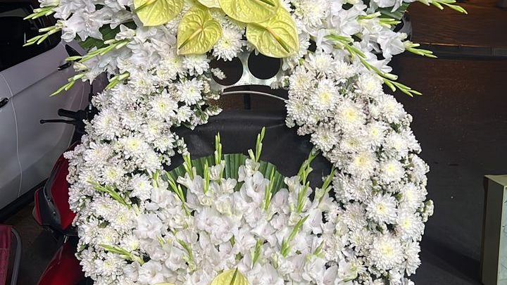 تاج گل بهشت امید گل طبیعی و مصنوعی