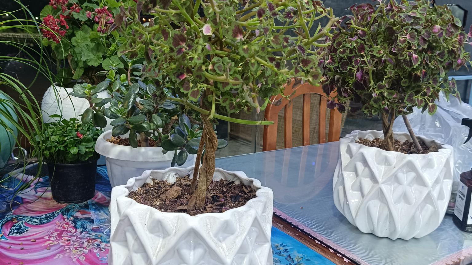 کباب گلپایگانی خان دایی محمد