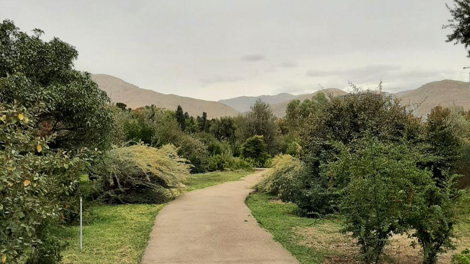 باغ گیاه شناسی ملی ایران