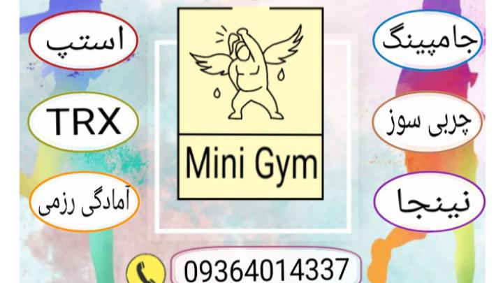 مینی جم ، Mini gym