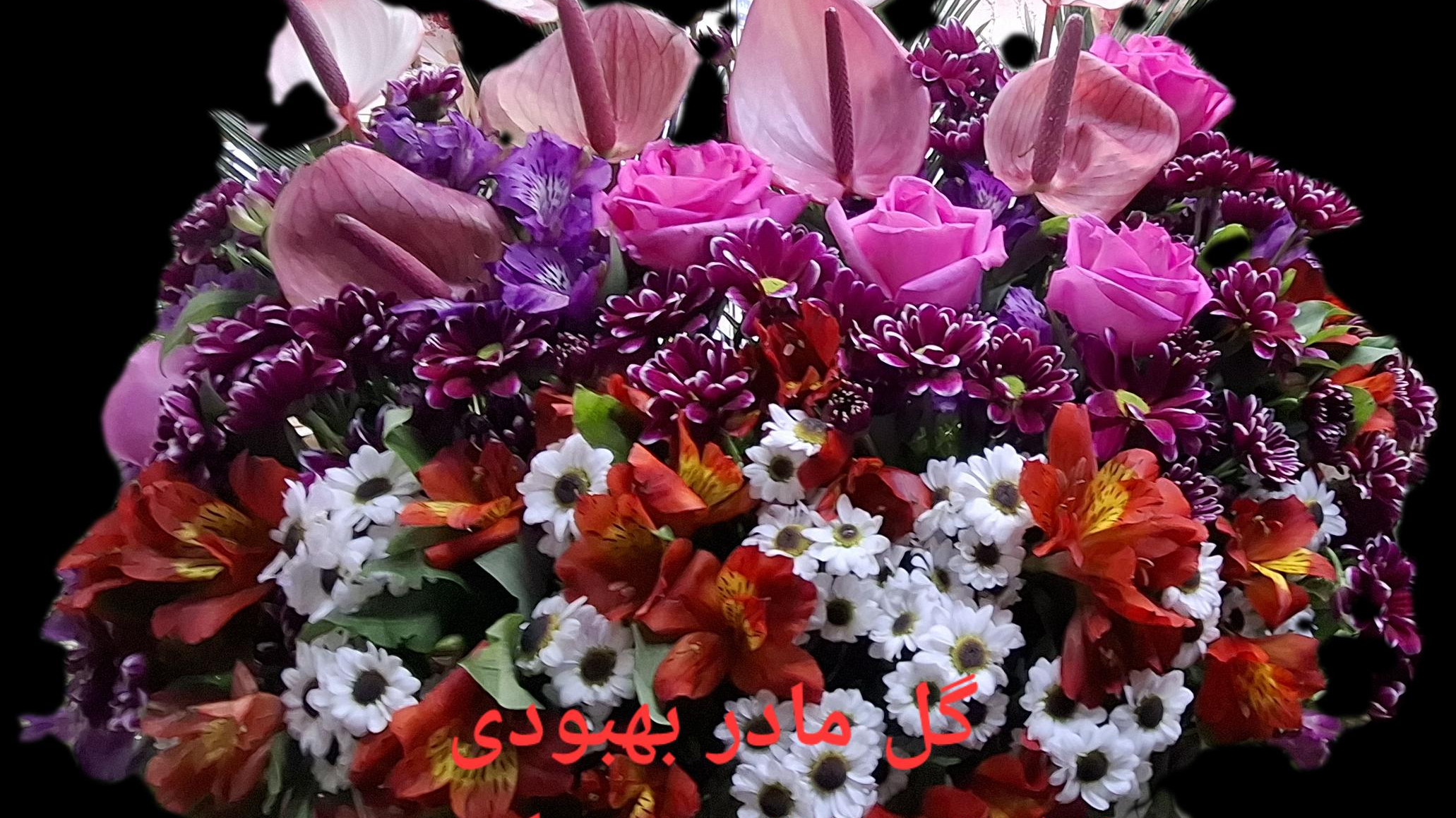ایرانگل گلفروشی آنلاین ایران (گلفروشی مادر)