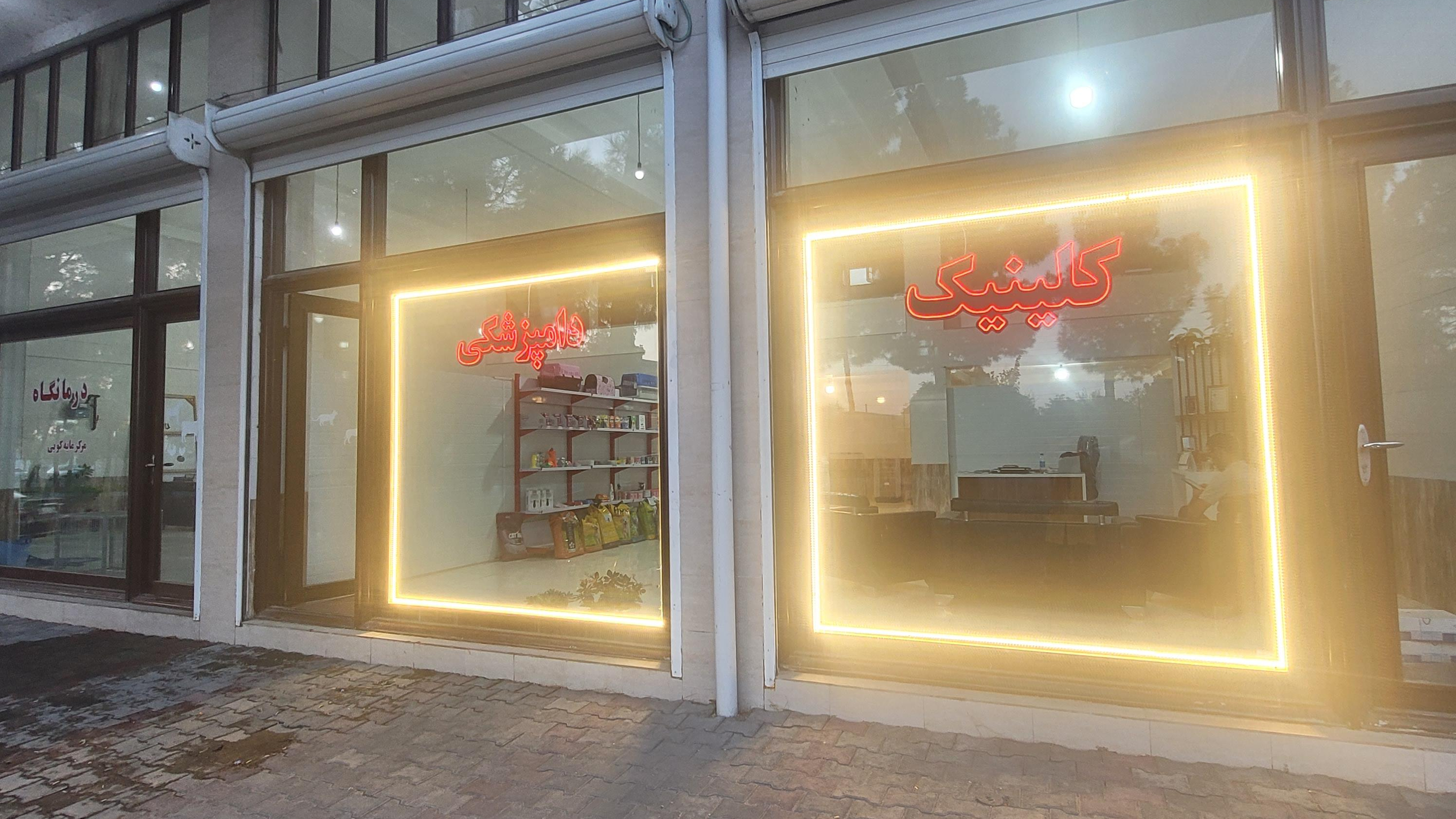 دامپزشکی حیوانات خانگی آنیل