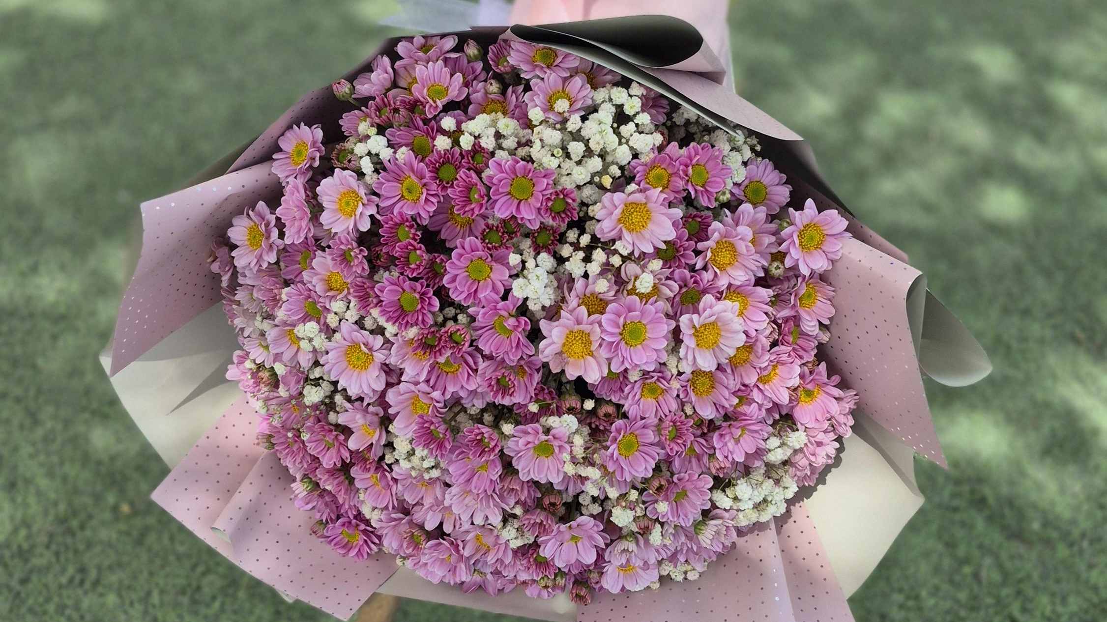 گلفروشی لوتوس