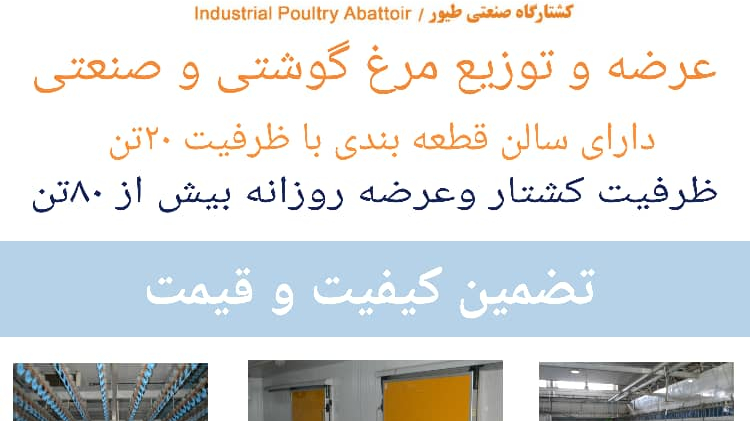 کشتارگاه مرغ ایران