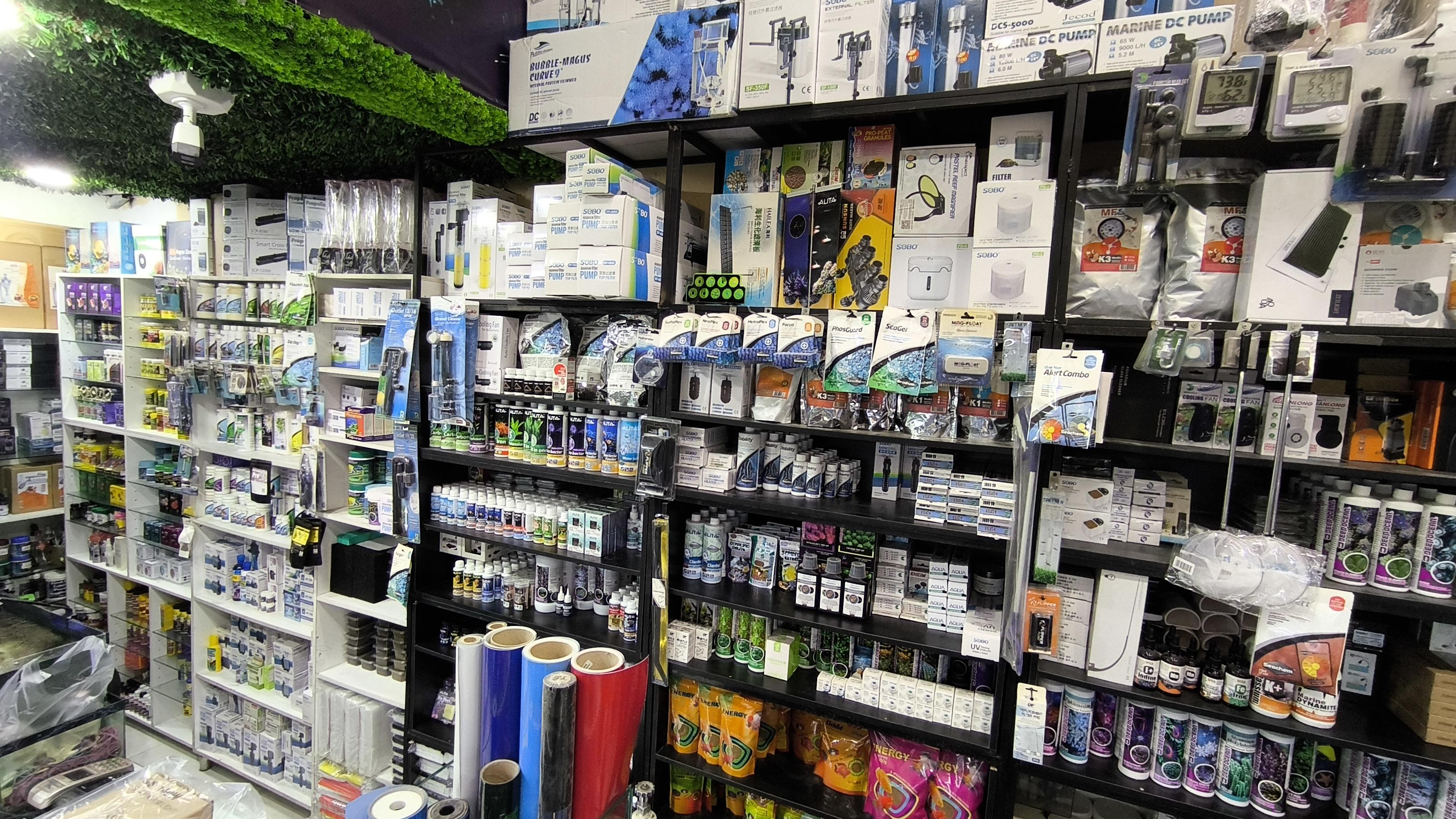 آکواریوم نمو شرق