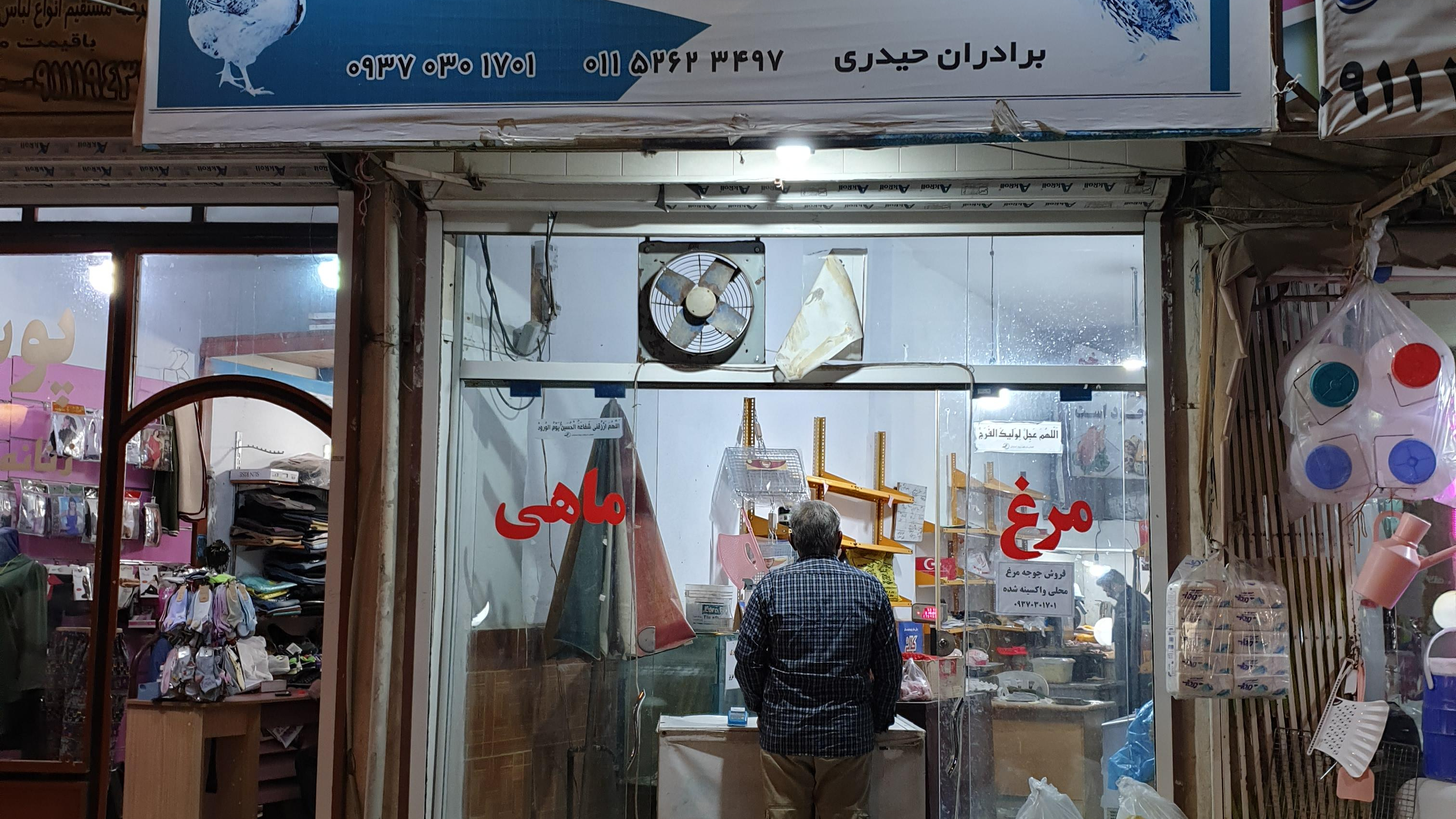 مرغ ،ماهی و بلدرچین کلاردشت