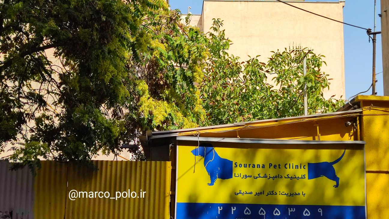 کلینیک دامپزشکی سورانا