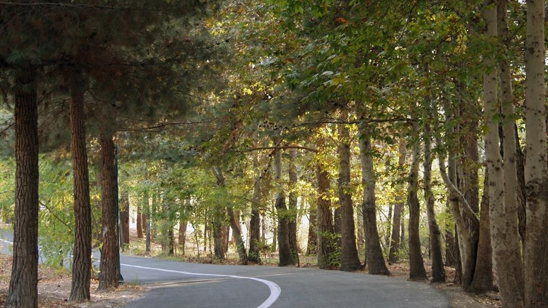 پارک جنگلی چیتگر