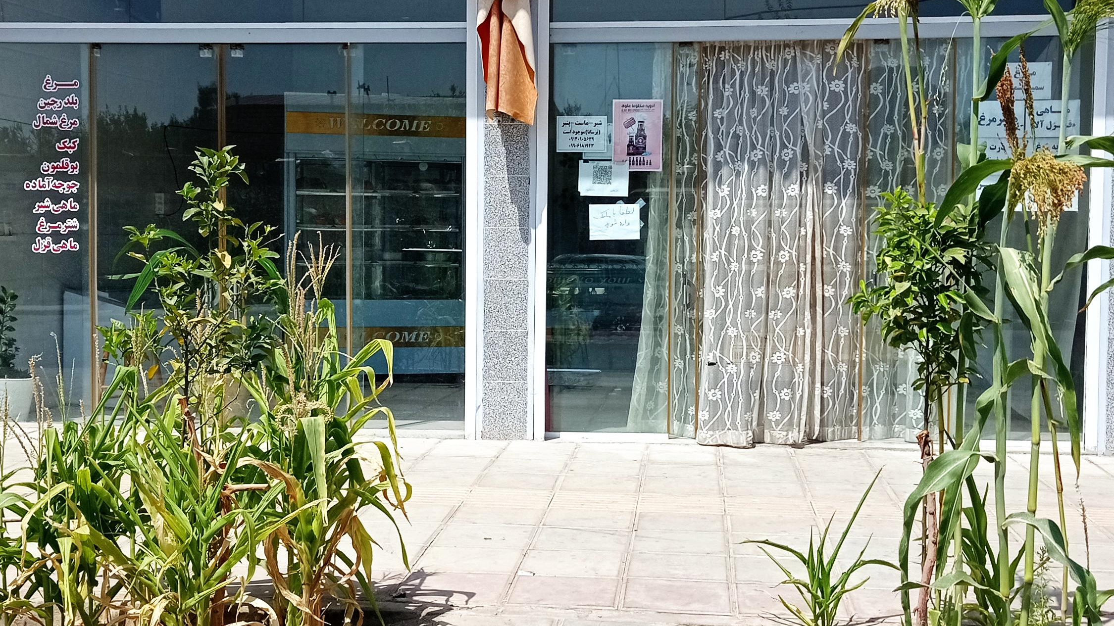 مرغ وماهی شیلا