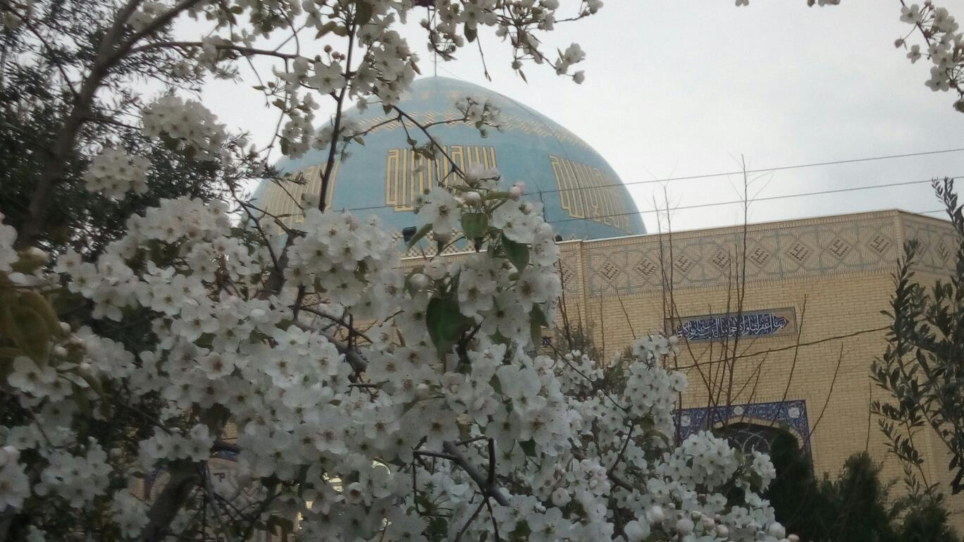 مسجد حضرت زینب (س)