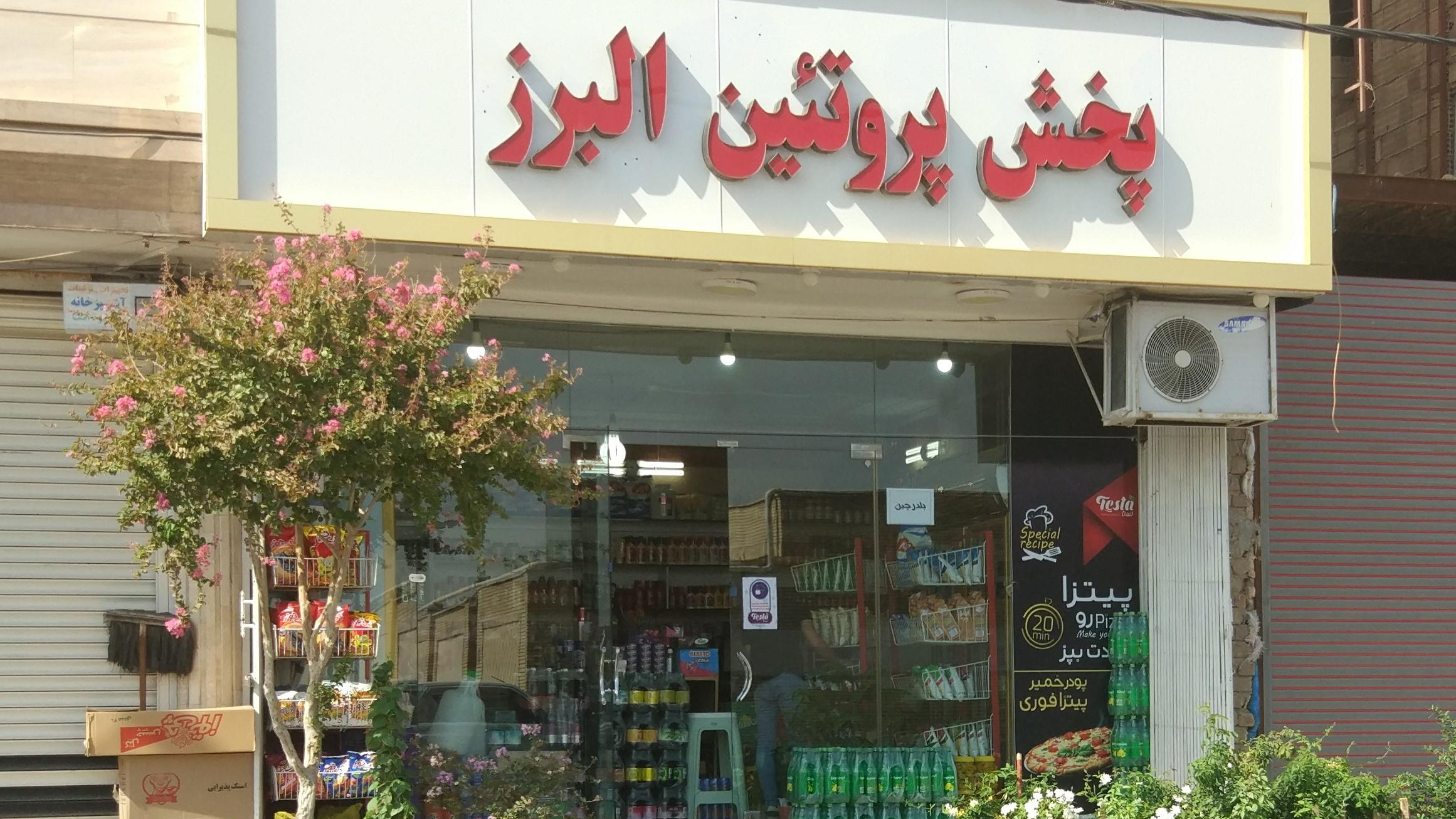 پروتئین البرز