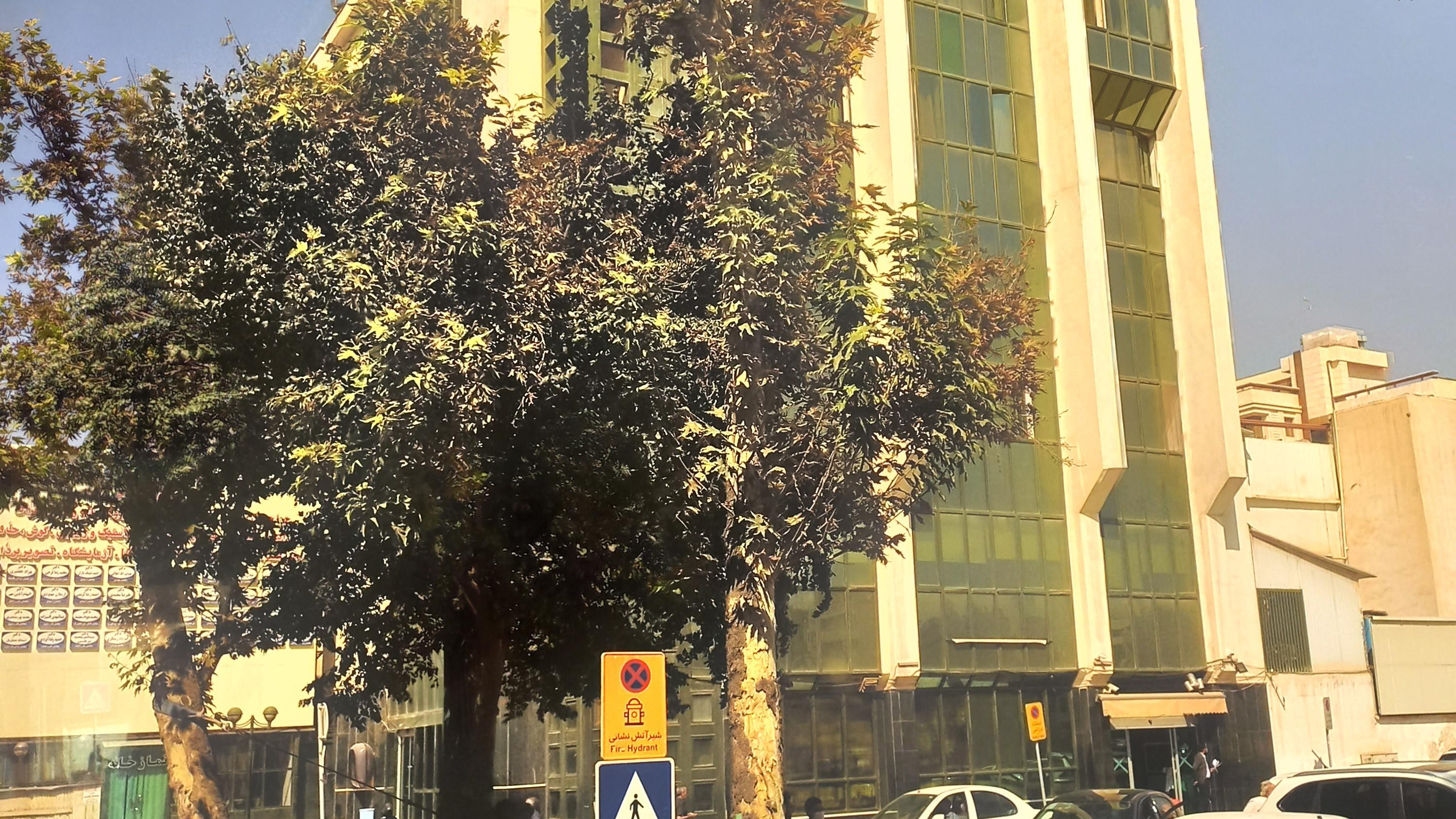 بیمارستان دکتر فرهمندفر