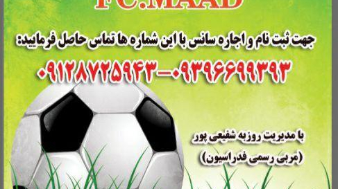 زمین چمن مصنوعی شهید عطار