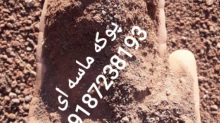 پوکه عبدالله پور