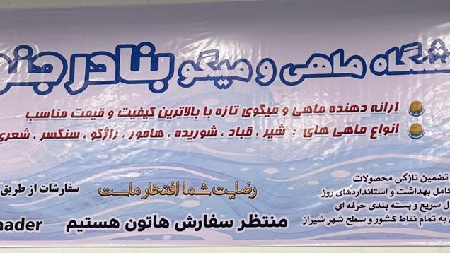 سوپر ماهی بنادر جنوب