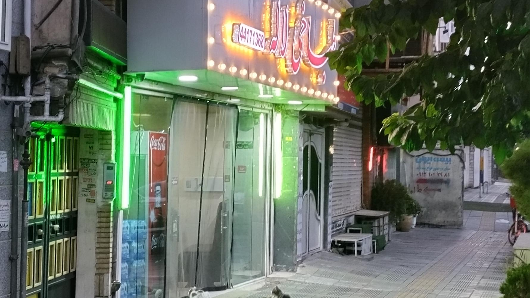 طباخی لاله