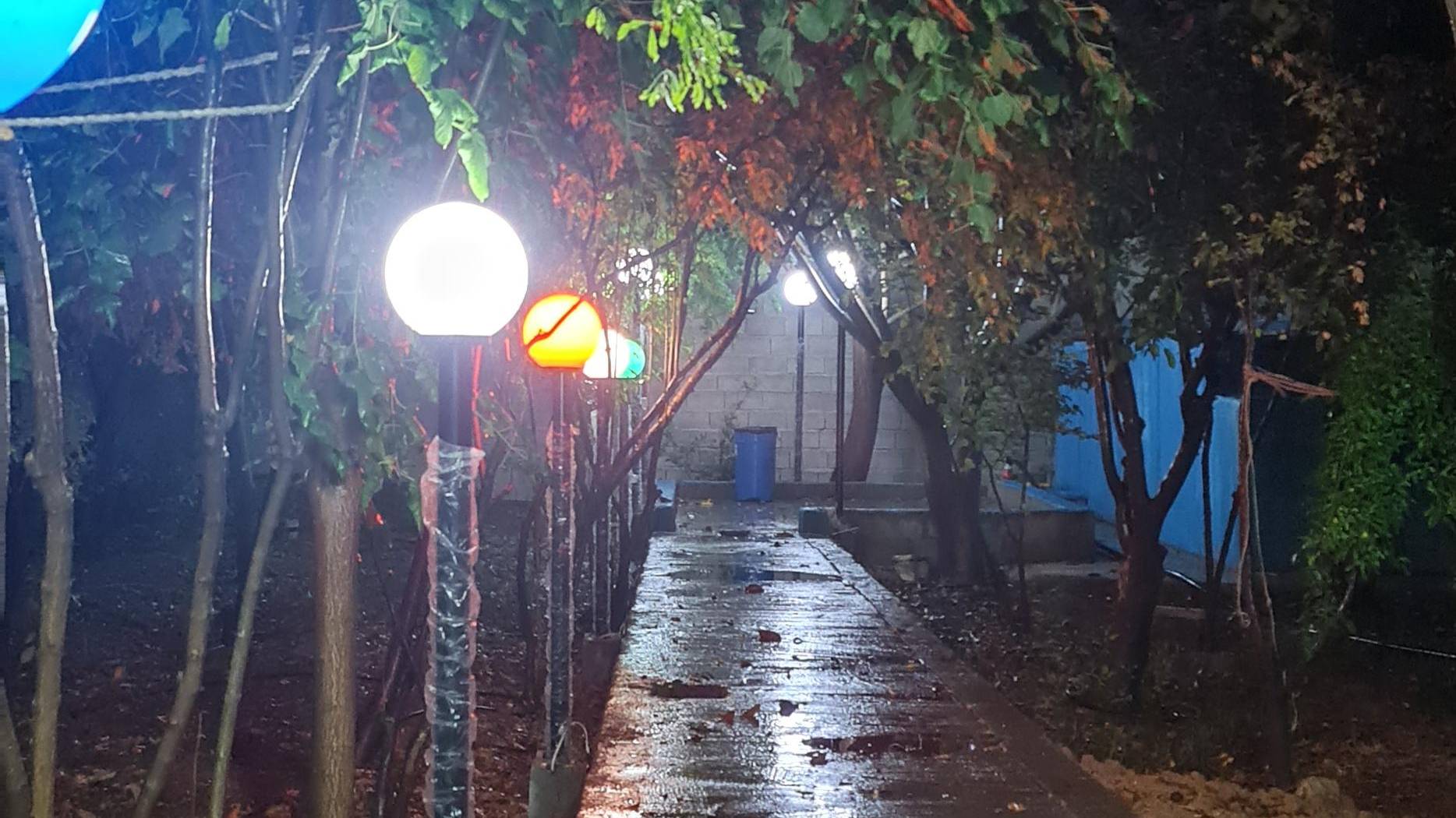 باغ فرشاد