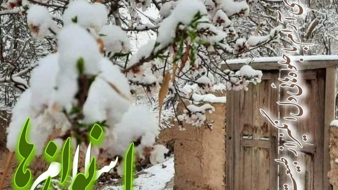 کمیته ملی المپیک و پارالمپیک