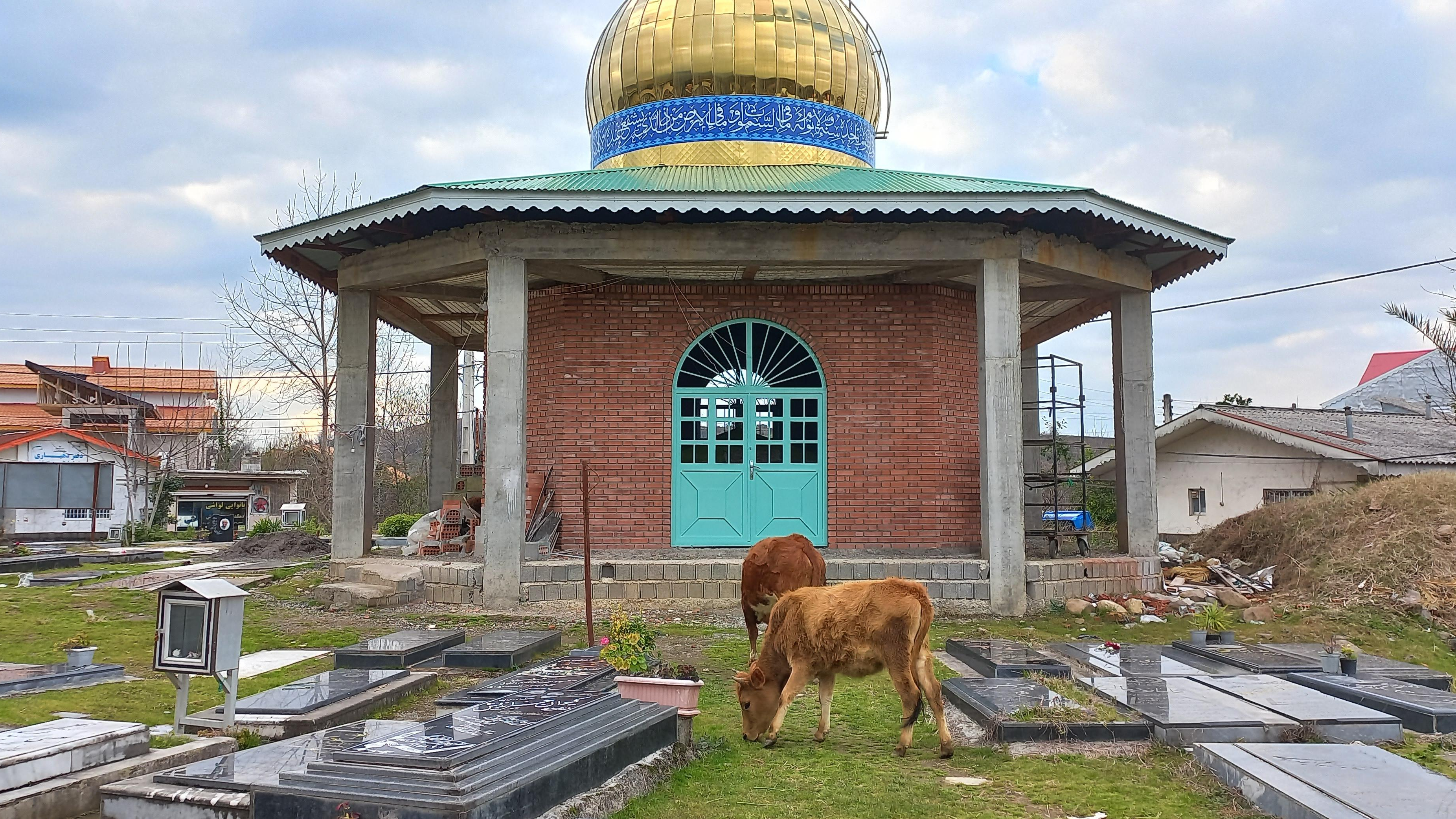 امامزاده لیش
