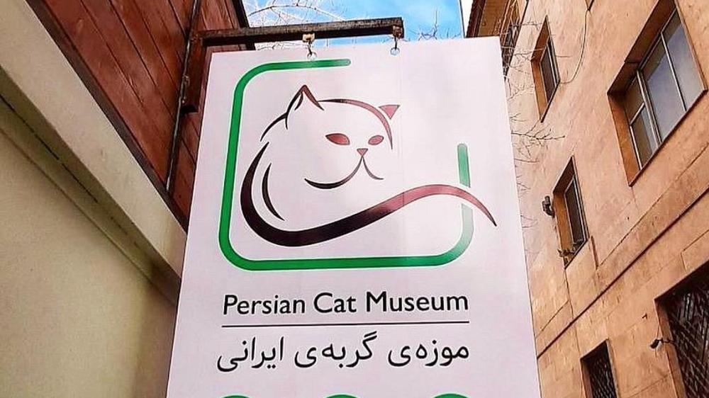کافه موزه ی گربه ی ایرانی