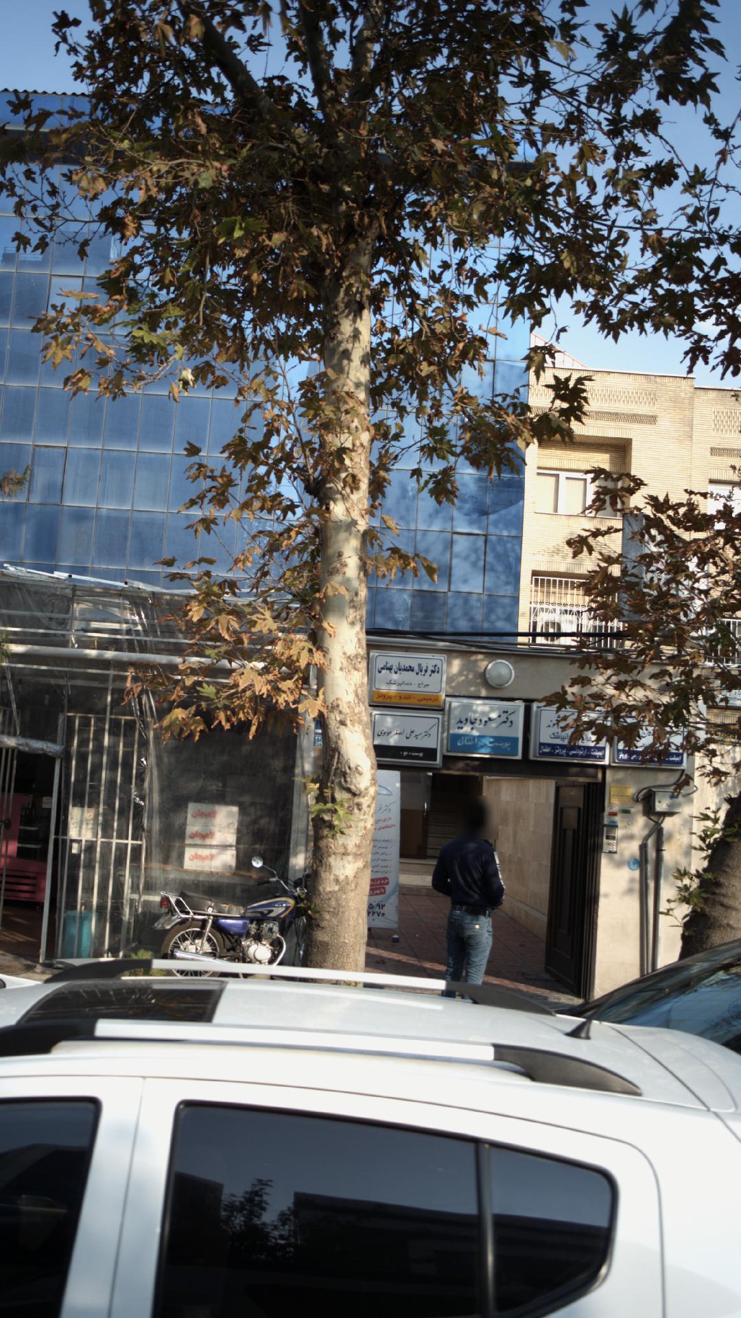 دکتر فریال محمدیان بهنامی
