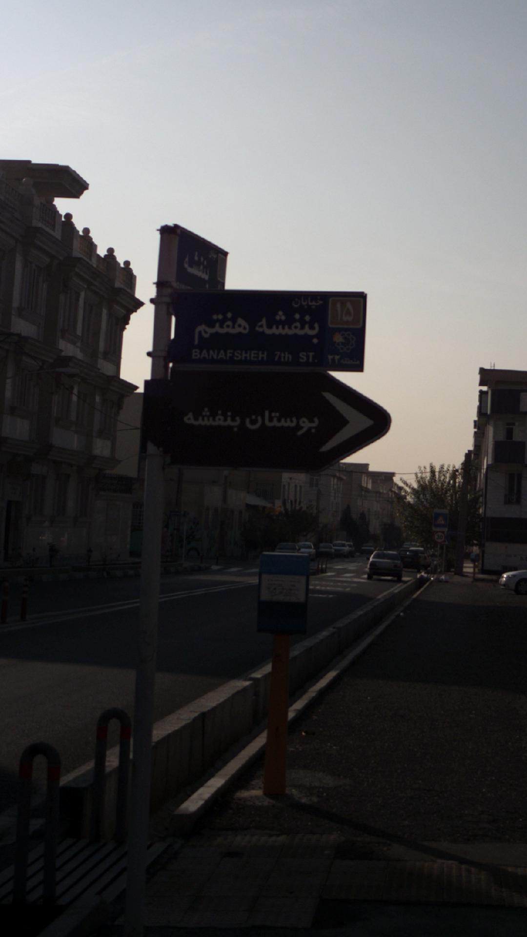 بوستان بنفشه