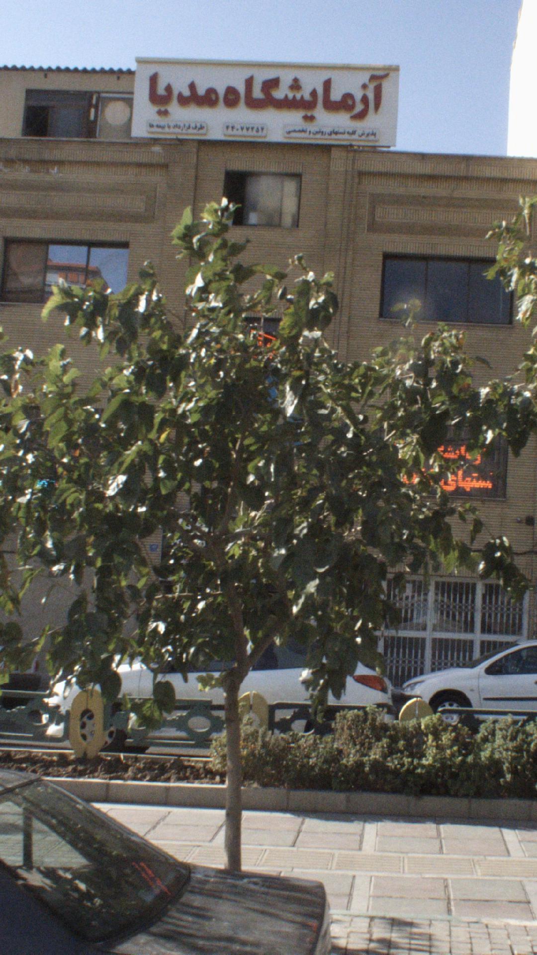 آزمایشگاه مدیا