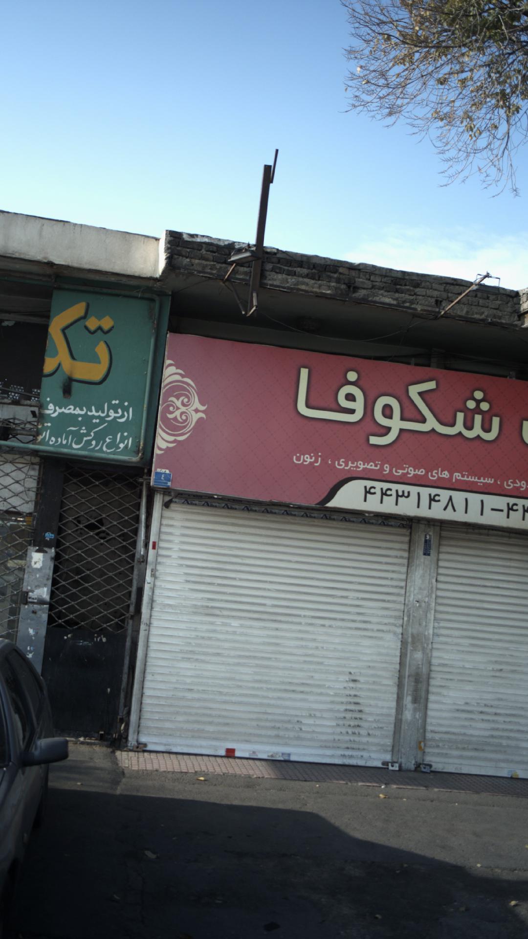 اسپرت شکوفا