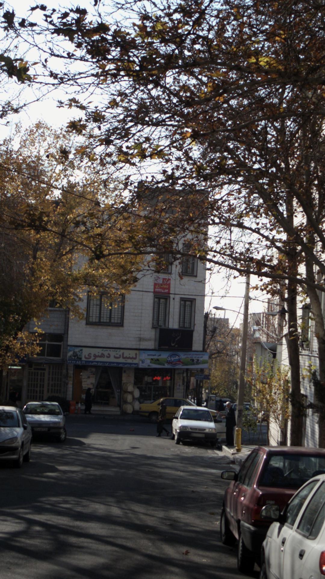 لابراتور و دندانسازی