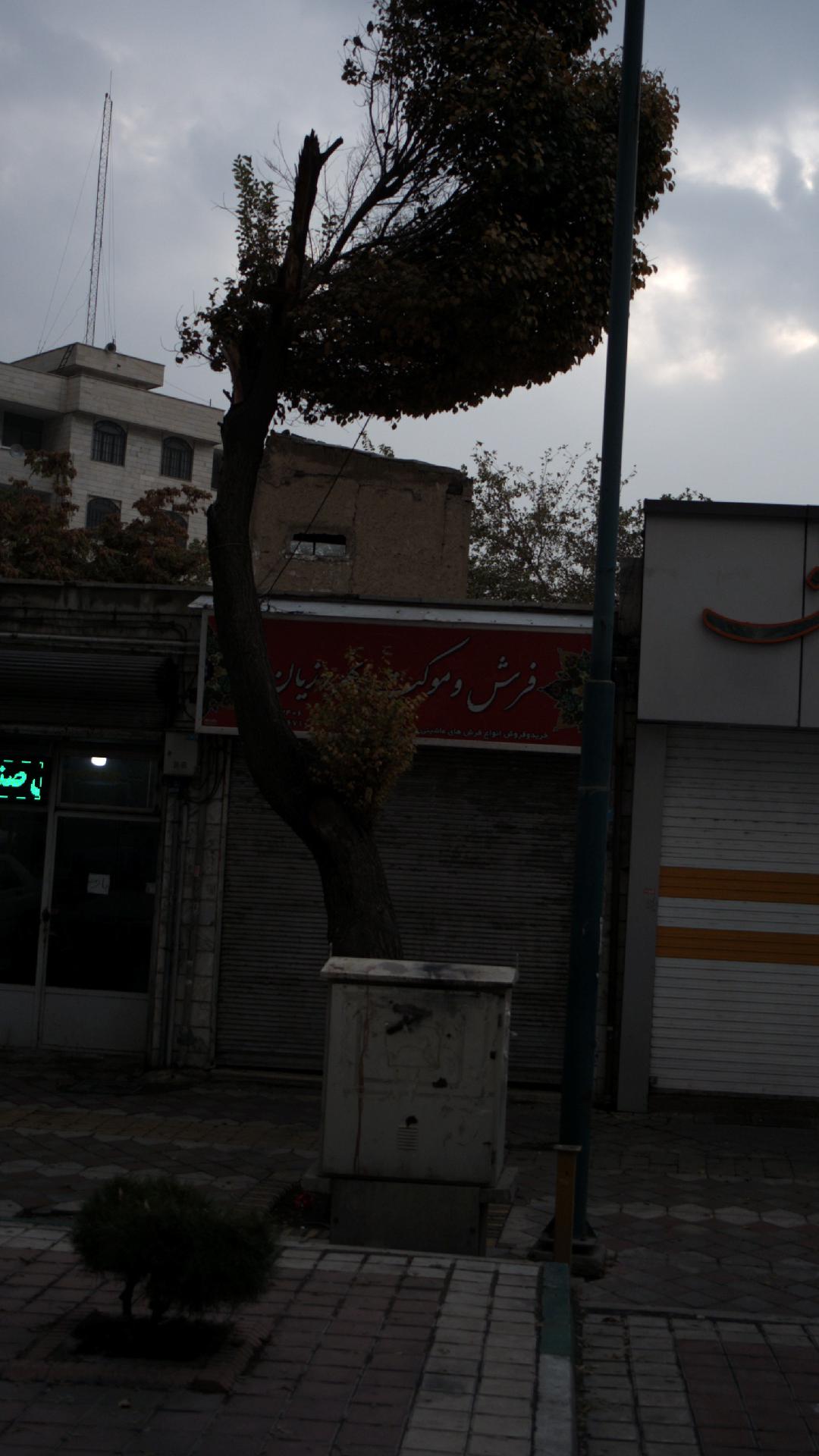 فرش و موکت بهروزیان