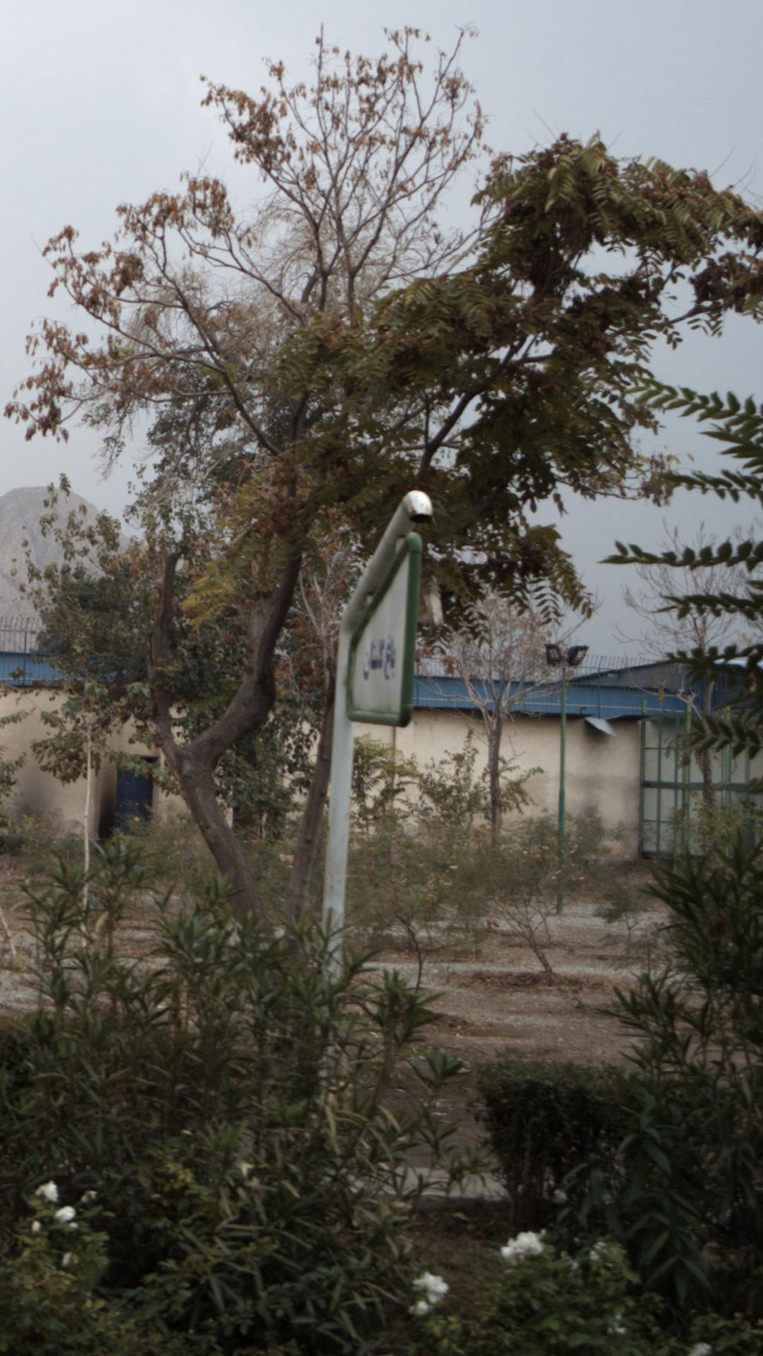 باغ گلستان