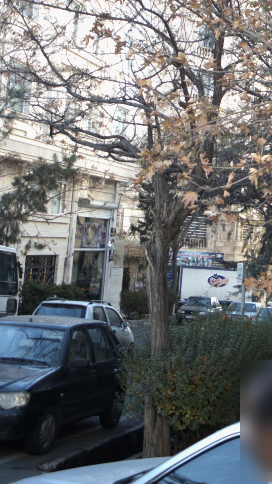 پیرایش چهره نما