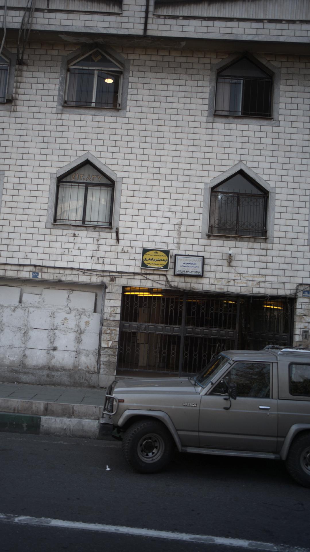 فریده بشیری گودرزی