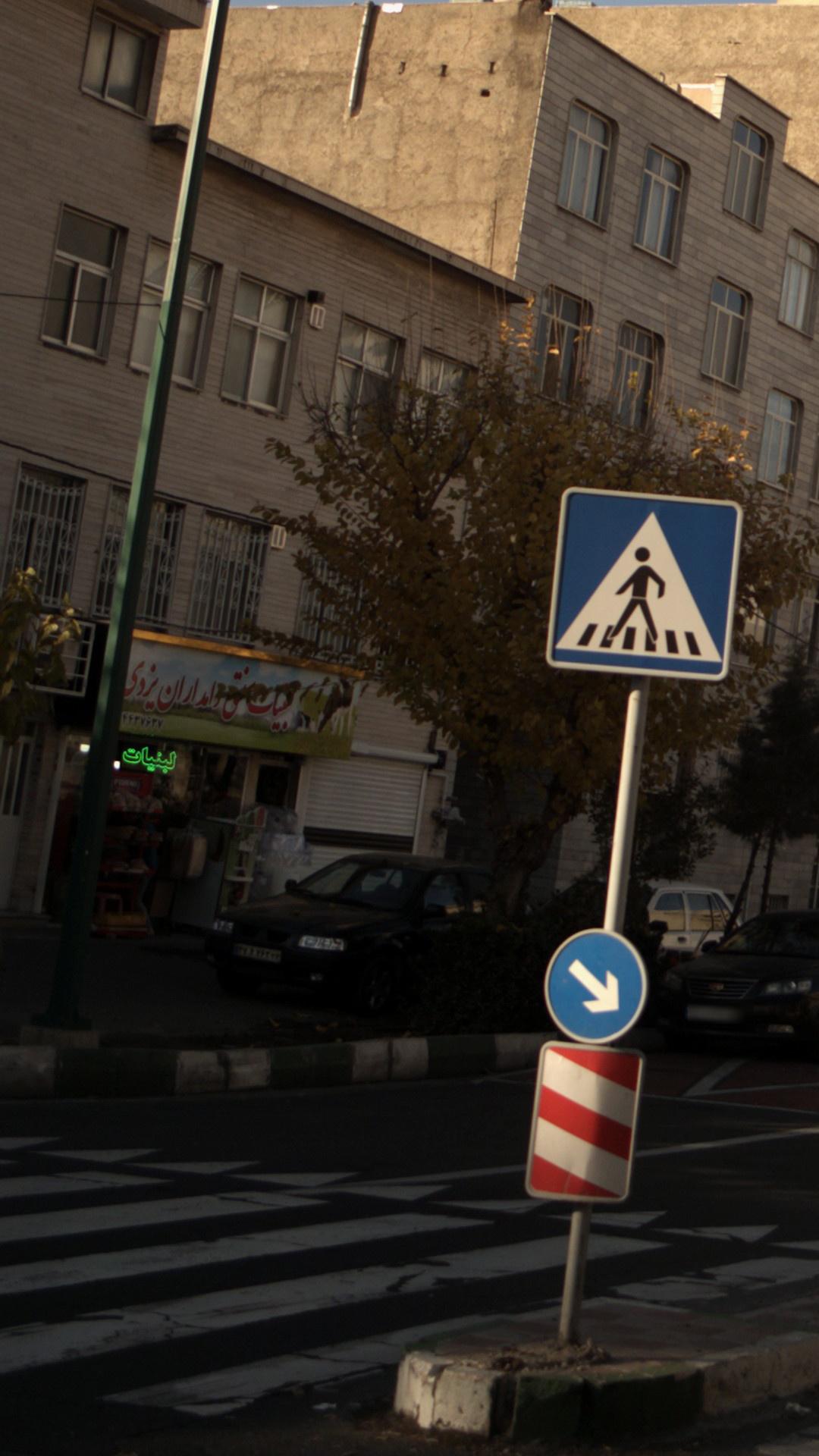 لبنیات سنتی دامداران یزدی